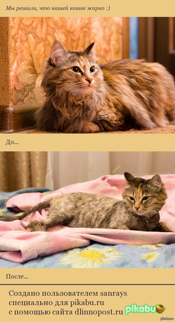 ��������� ���� :)