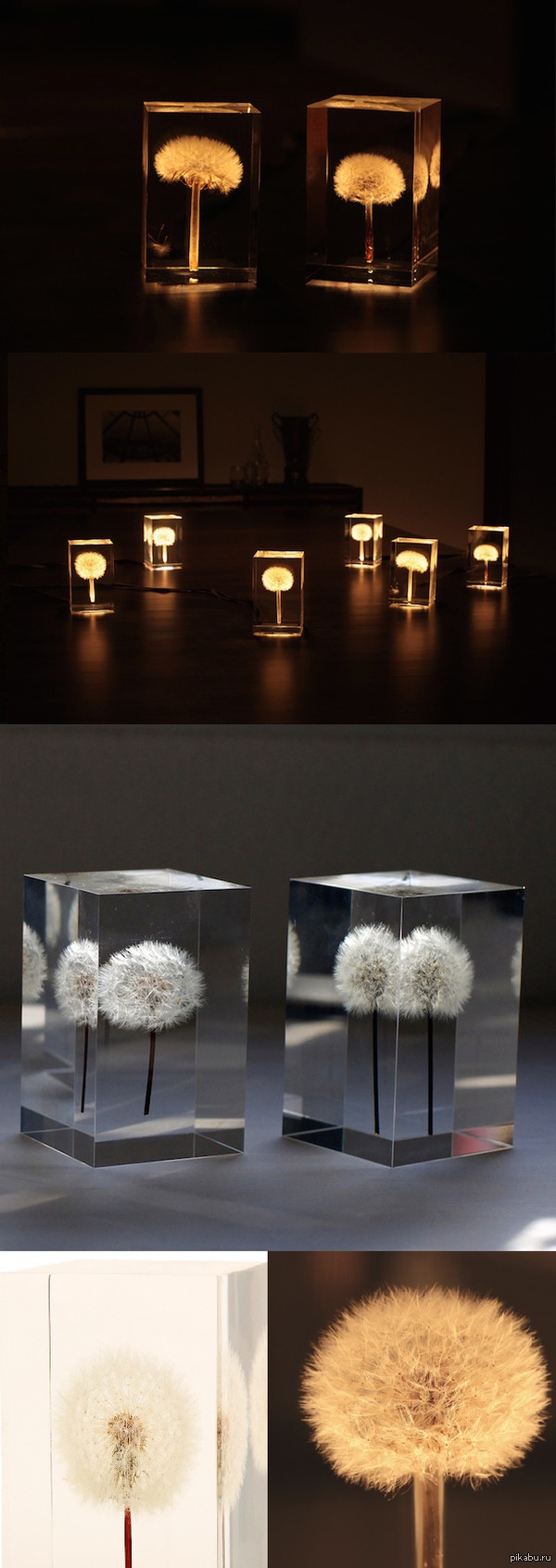      (Takao Inoue)     (Tampopo lamps).           .