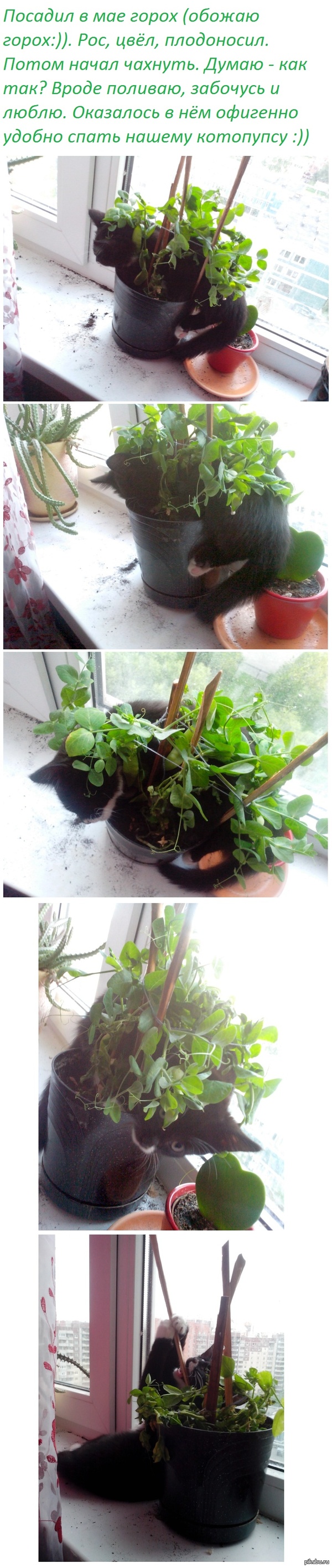 Удобное место, где можно поспать