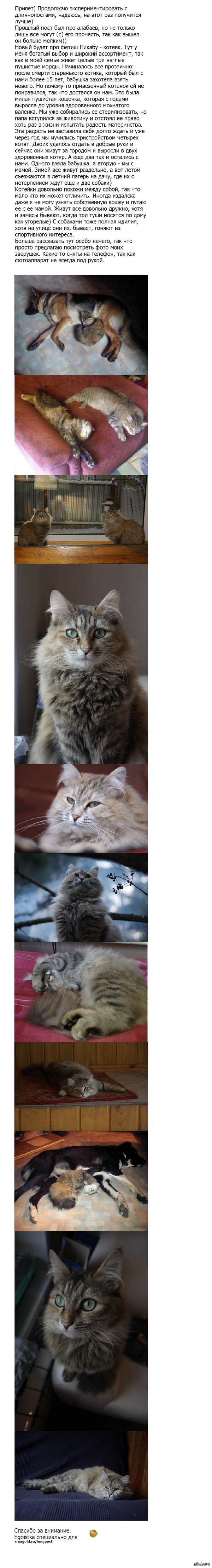 ������ ����