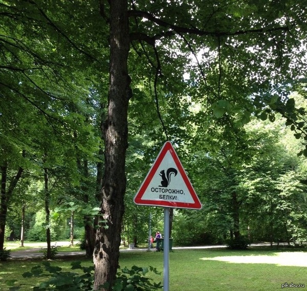 ��������� �����!