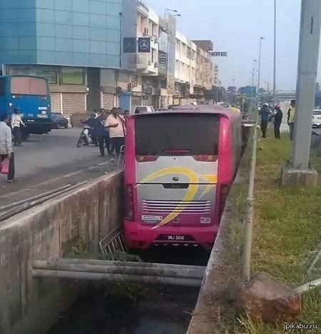 ��� ��������������