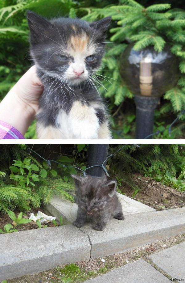 ���� ����������� � ������ ���