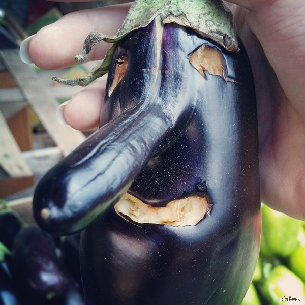 Ну здравствуй, мой упоротый друг. ..