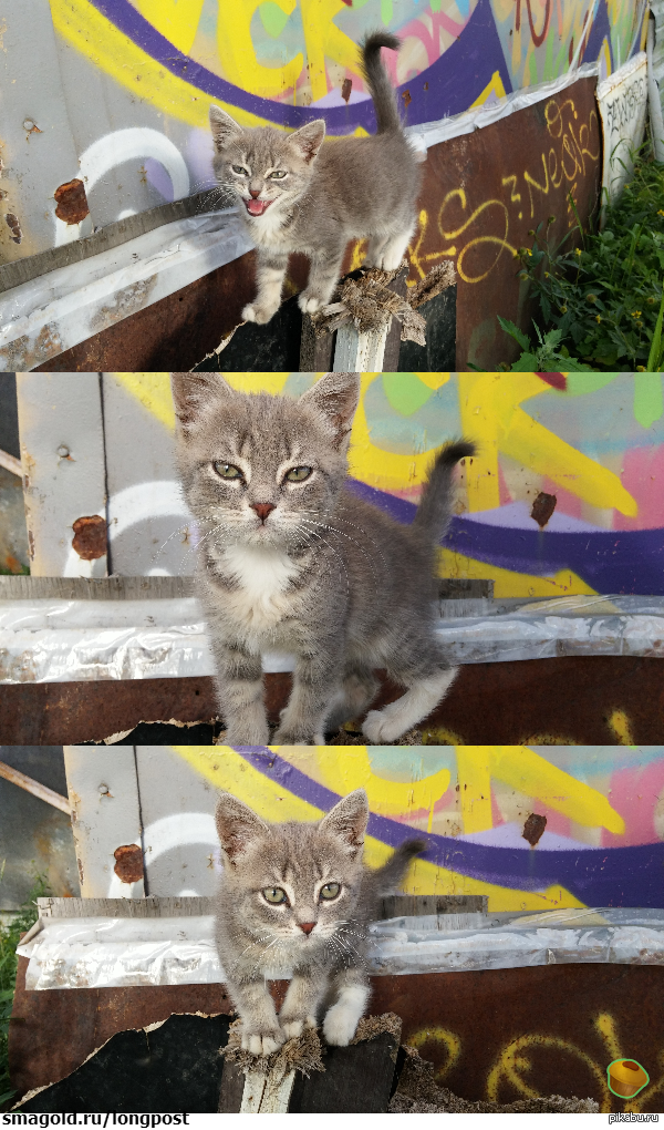 �� ��� ������ ������� ������ ���� �� ������)