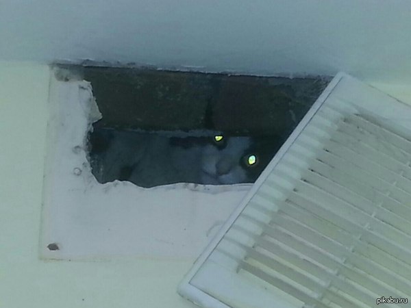 За мной следят)