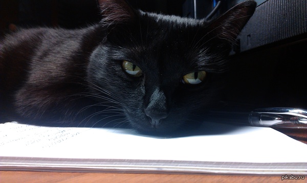 ����������� �������� ��� ������