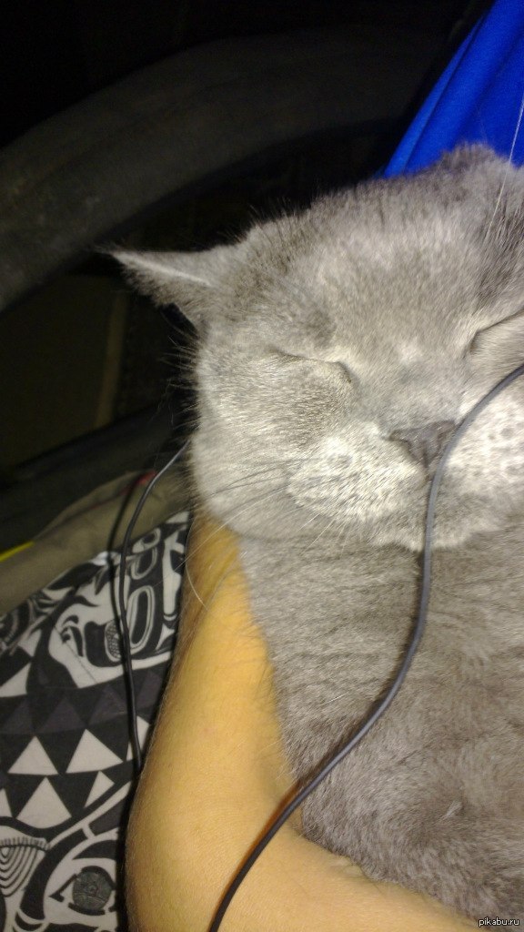 ��� �����