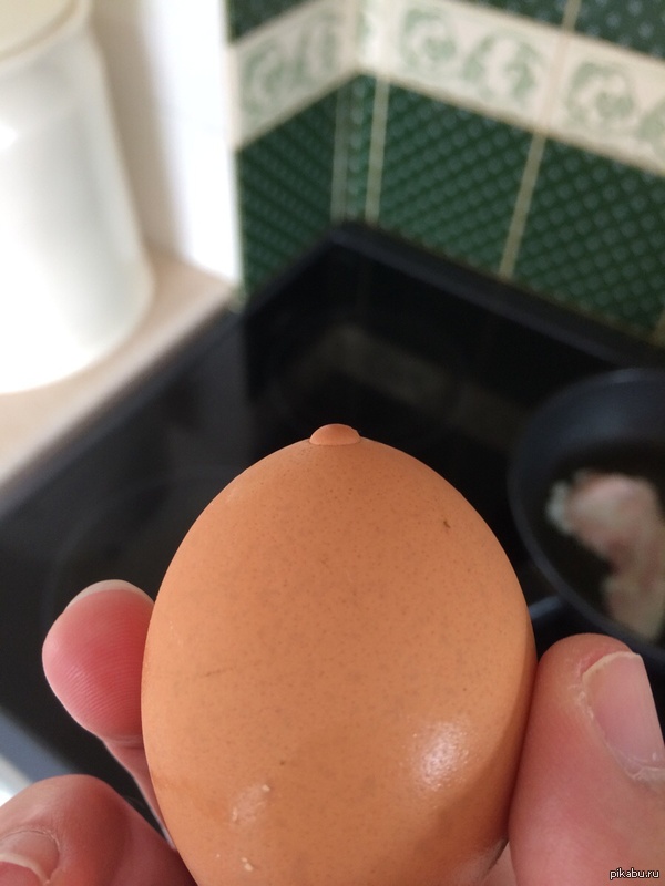 Unusual egg. - NSFW, Eggs, WITH, , Tag