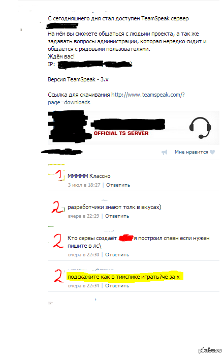  TeamSpeak      :)