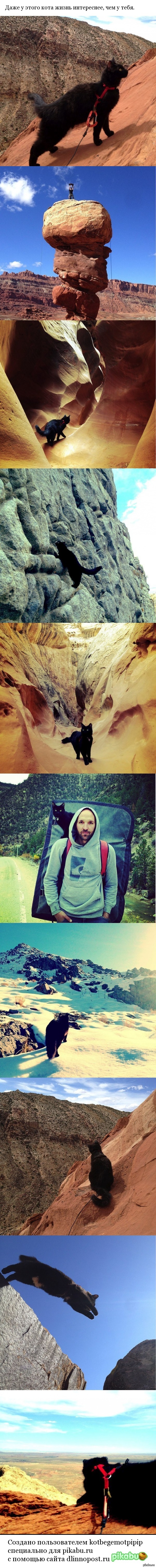 ����������� ���� ��� ��������.