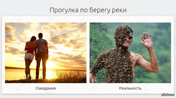 Прогулка по берегу реки