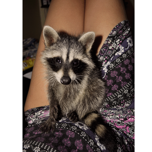 ��� �������� =)