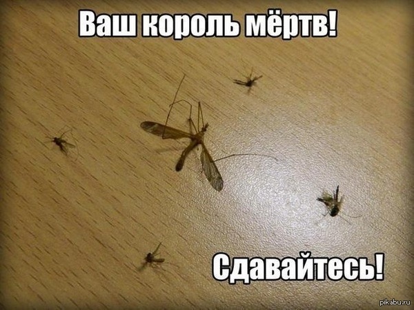   ! 