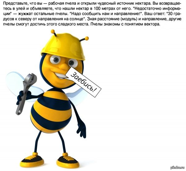 Умные пчёлы