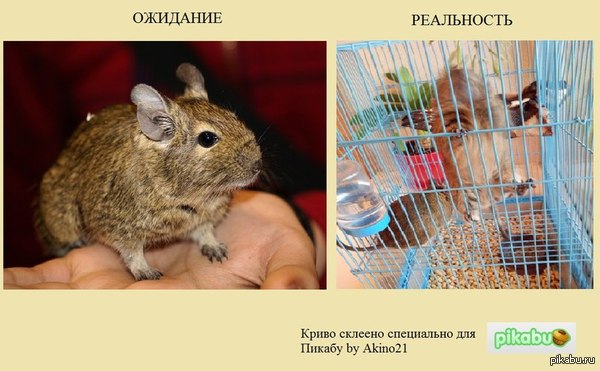 Ожидание - реальность