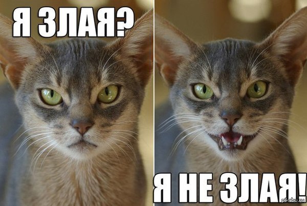 �����-�������