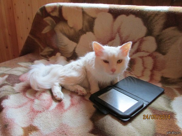 ���� �� ���� ��������?