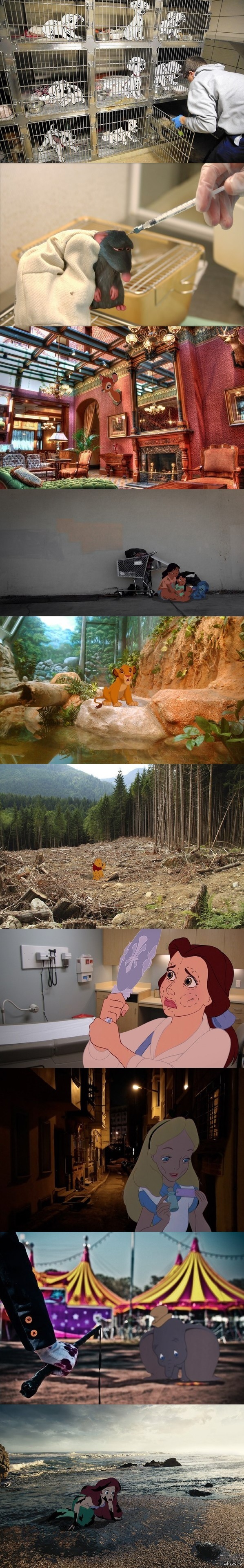 Действительность как она есть