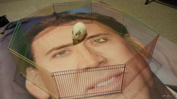 Nicolas Cage  
