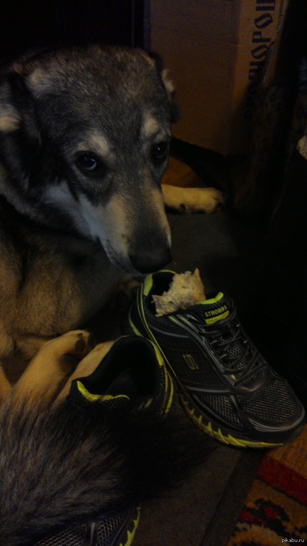 ������ ������, �������� ���