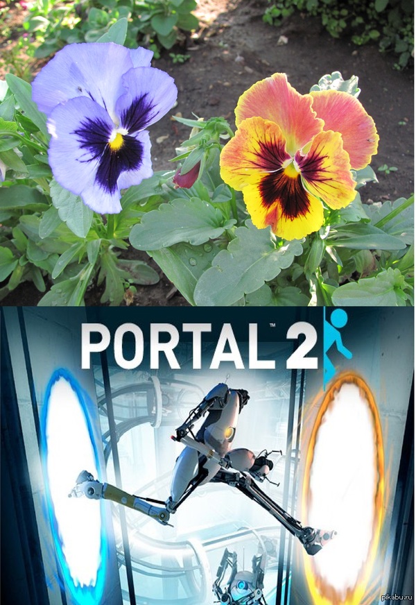 �� ������� - ������ ��� ������ �� �� :)