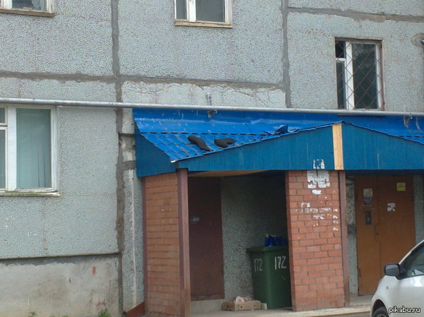 ���� �� ����� !