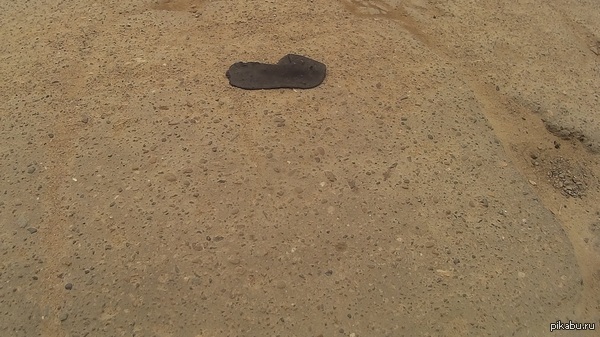 �������.  ��� ��� ����? ��� ����� �������� �����? �� �������, �� ������, �����. �� ���������� ������ �������?