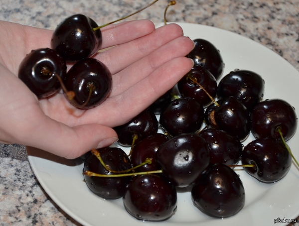 ���� ������������ - ���������!