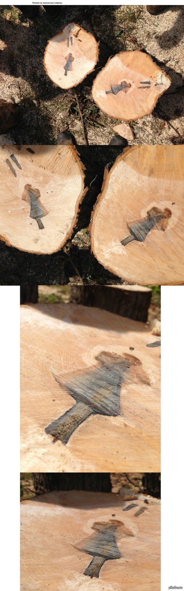 Порезал дрова