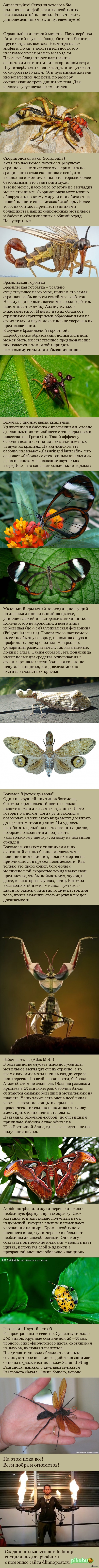 ��������� ��������� �������