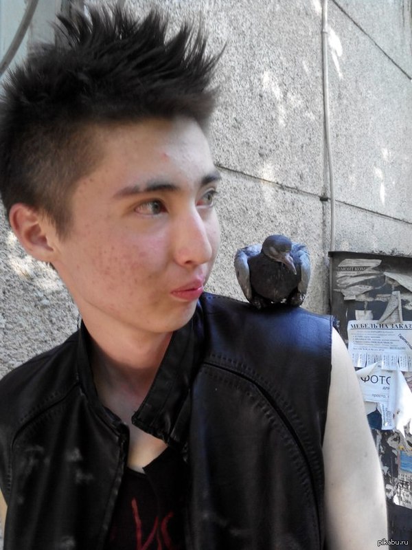 Я(упоротый глаз из племени "Обоссы колючку), похмелье после дикой предвыпускной ночки и Руди(голубь) :D