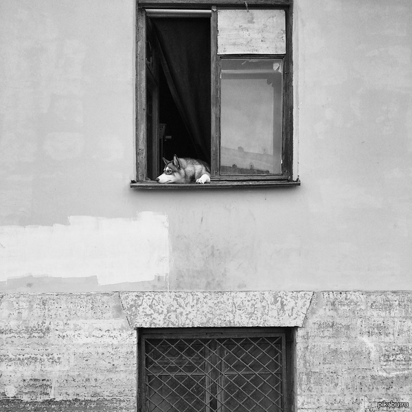 �������� �����. �������� ������� � ������...