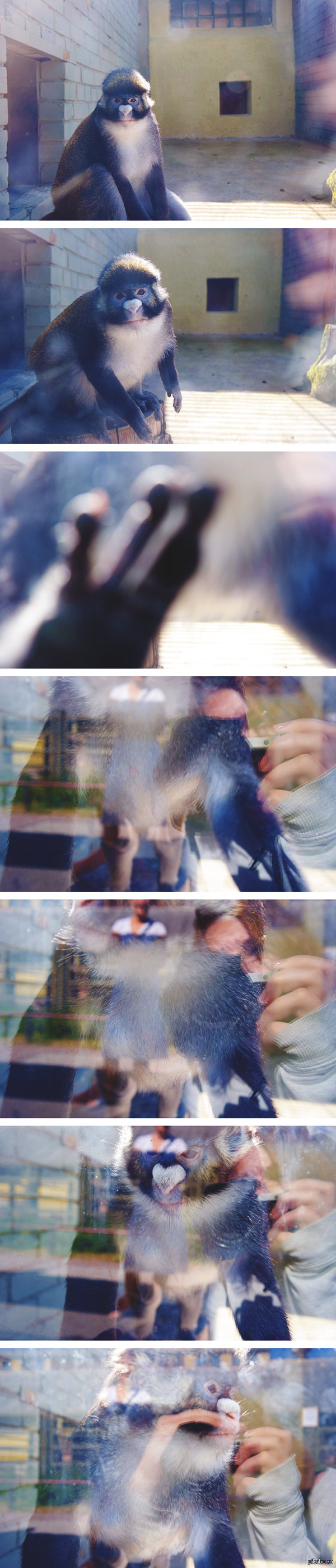 ��� �� ���� ������� �����. *�*