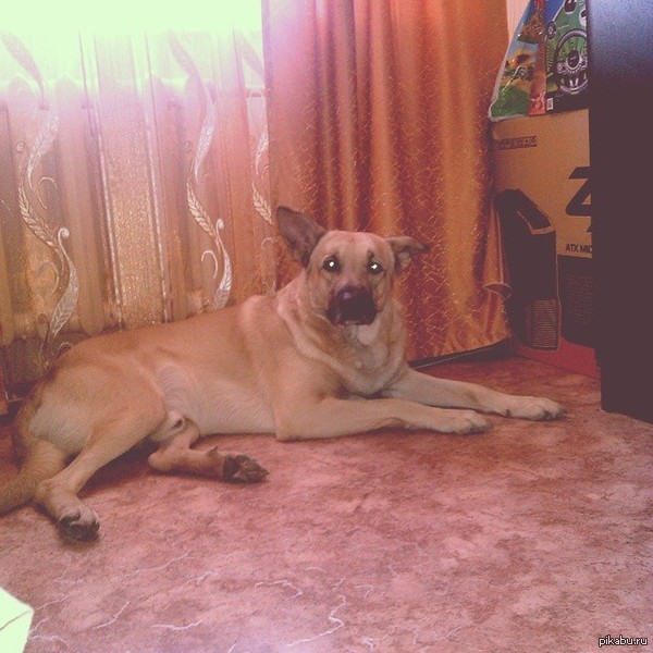 �������� ��������� ��������� ����:) ����� ��������� :3