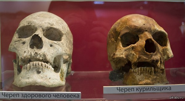 Друг был в Танаисе