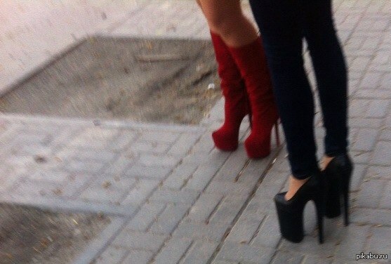 ������� ������� ����������������.