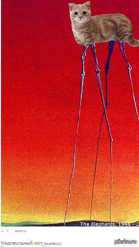 ����������?