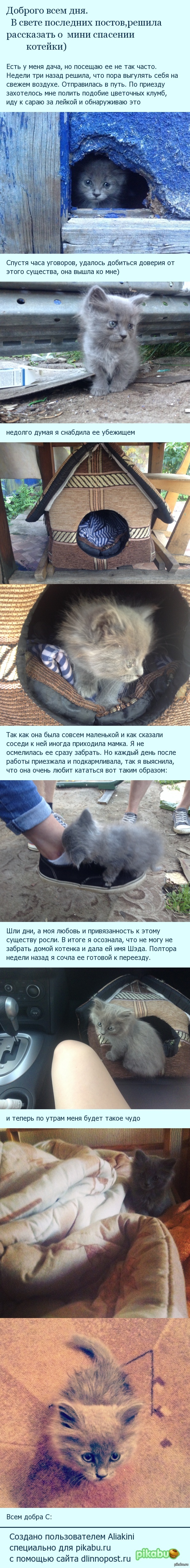 �� �� ��� ��������� ������