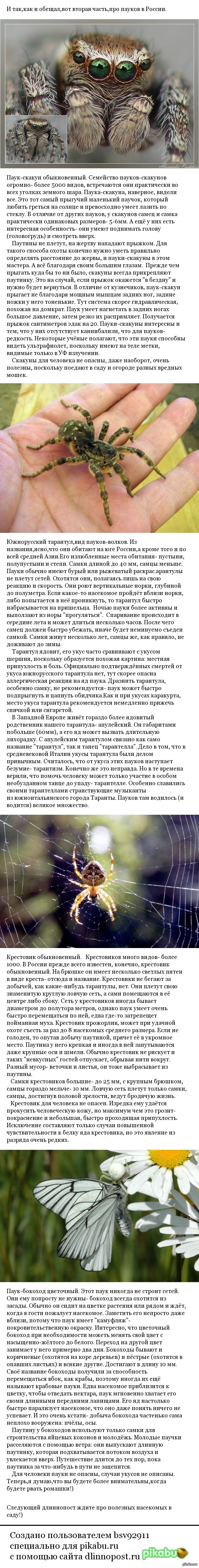    . #2  ,    .