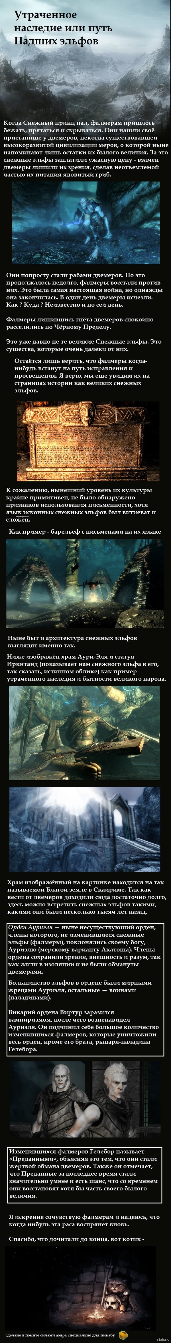 Фалмеры – самая мерзкая раса в Skyrim. Но когда-то они были успешнее нордов