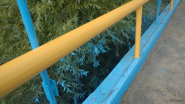    &quot; &quot;,       