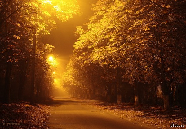    ,     ..() ...,  ...((, +15,  