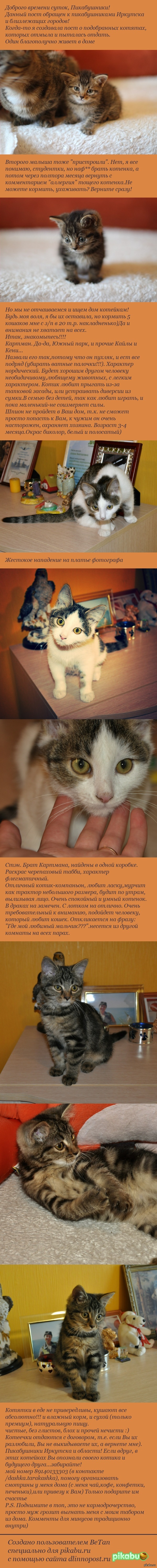 А вдруг это ТВОЙ друг?