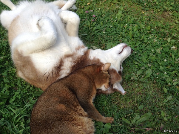 ��� ����� ������� �� ����.