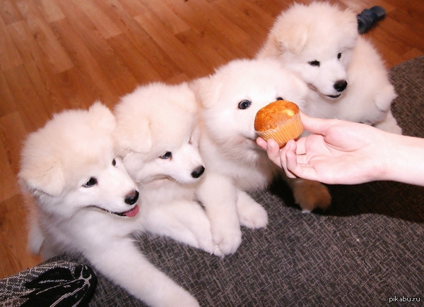 ���� �������� �� ��� ����!