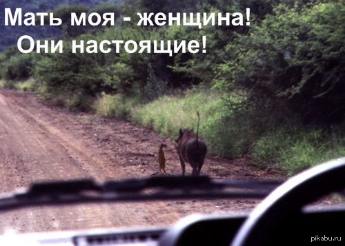 ����� � �����!