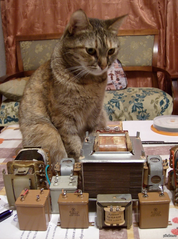 ������� �������