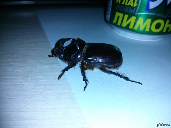 ��� ����� � �������� ����� �����