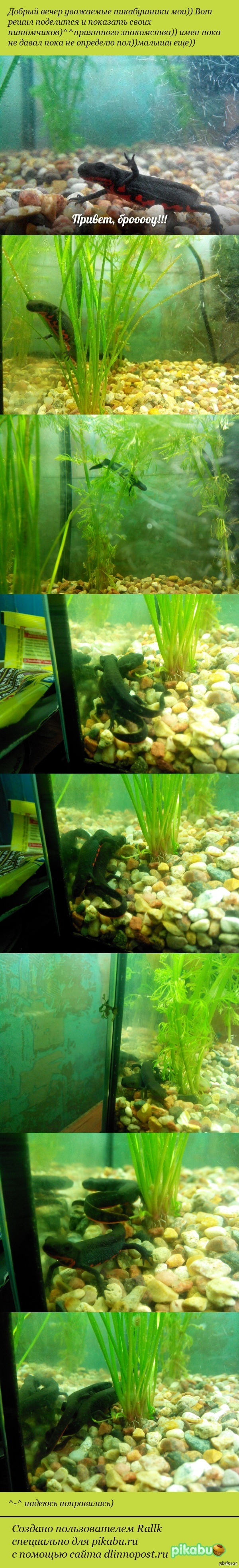 Мои милашки)) Приятного знакомства!)